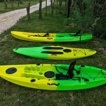 Hakuna Matata Apartments Ulcinj Eksteriør billede